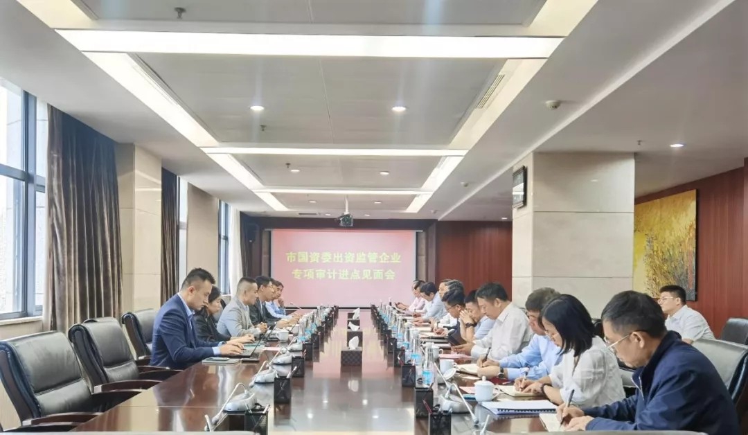 涂建平、章勇參加市國資委出資監(jiān)管企業(yè)專項審計進(jìn)點見面會